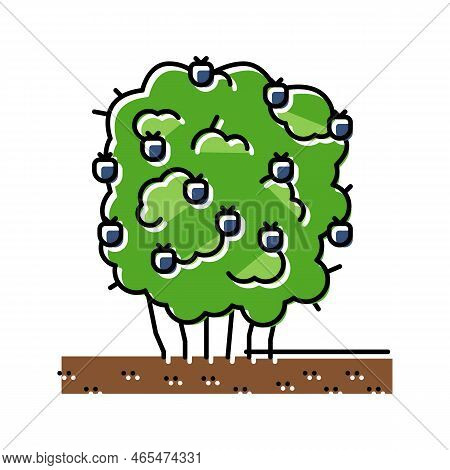Green Blackberry Bush Color Icon Vector. Green Blackberry Bush Sign. Isolated Symbol Illustration