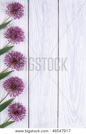 Ferie udsmykning ramme lilla blomster alium