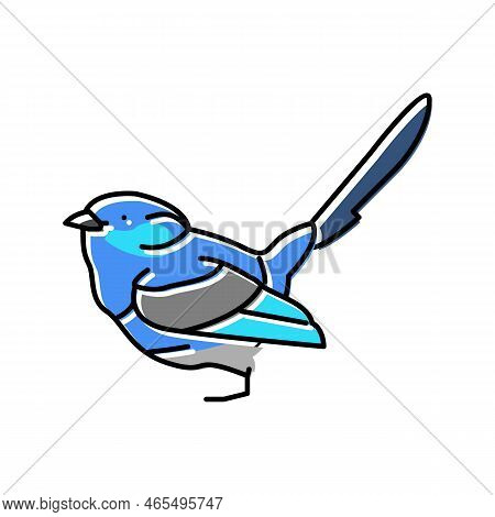 Splendid Fairywren Bird Exotic Color Icon Vector. Splendid Fairywren Bird Exotic Sign. Isolated Symb
