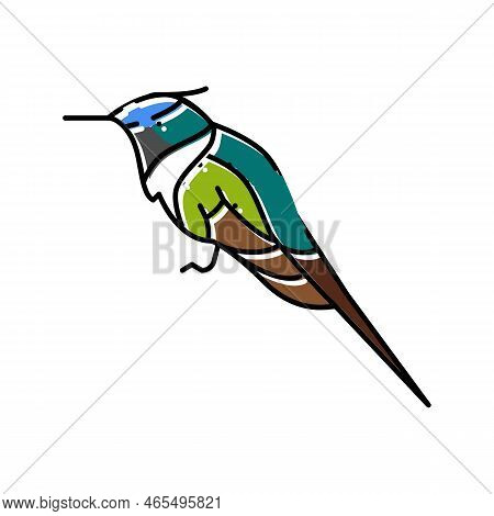 Horned Sungem Bird Exotic Color Icon Vector. Horned Sungem Bird Exotic Sign. Isolated Symbol Illustr