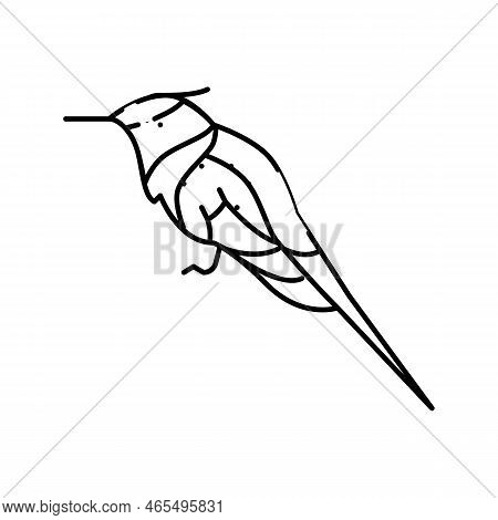 Horned Sungem Bird Exotic Line Icon Vector. Horned Sungem Bird Exotic Sign. Isolated Contour Symbol 