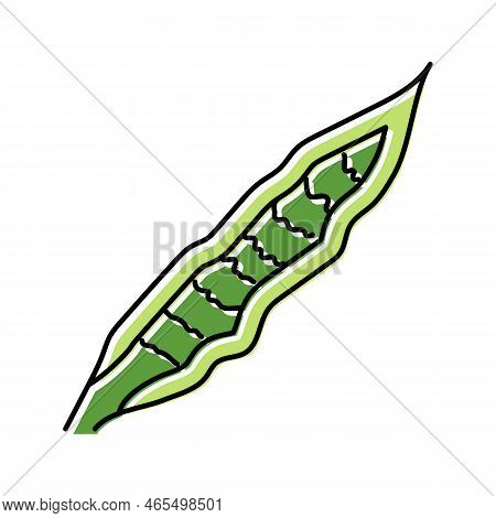 Sansevieria Tropical Leaf Color Icon Vector. Sansevieria Tropical Leaf Sign. Isolated Symbol Illustr