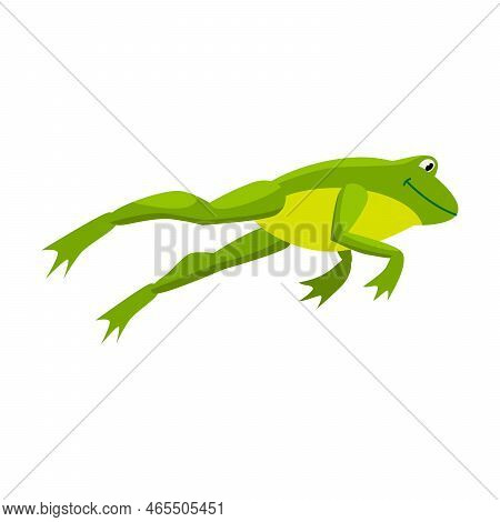 Green Frog Jumping For Prey. Cartoon Vector Illustration. Leaping Toad On White Background. Funny Wa
