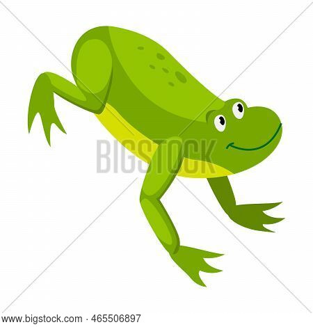 Toad Jumping Vector Green Frog Jumping. Vector & Photo (Free Trial) | Bigstock