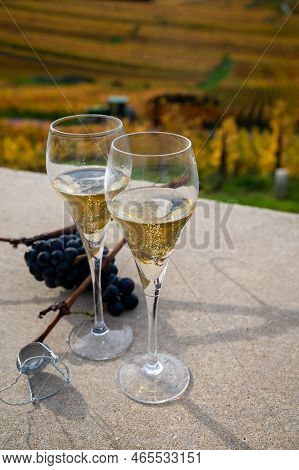 Tasting Of White Brut Champagne Wine Outdoor With View On Colorful Autumn Pinot Noir Grand Cru Viney