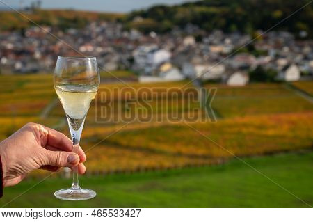 Tasting Of White Brut Champagne Wine Outdoor With View On Colorful Autumn Pinot Noir Grand Cru Viney
