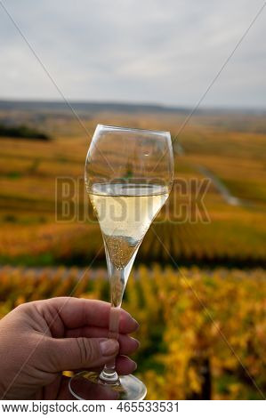 Tasting Of White Brut Champagne Wine Outdoor With View On Colorful Autumn Pinot Noir Grand Cru Viney