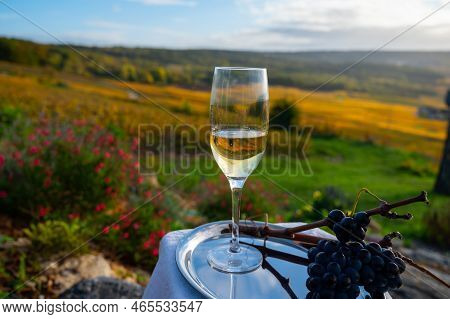 Tasting Of Premier Cru Sparkling White Wine With Bubbles Champagne On Outdoor Terrace With View On C