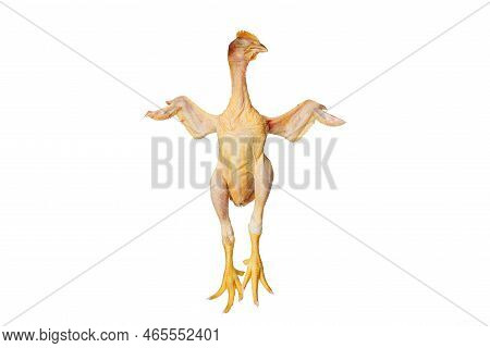 Dead Plucked Chicken Chick With Open Wings Isolated On White