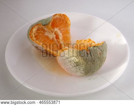 Rotten Moldy Citrus Fruit On A White Background. Broken In Half. Decaying Pulp. Bad Spoiled Disgusti