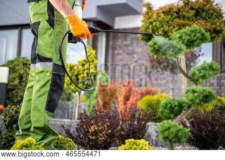 Closeup Of Professional Gardener Applying Pest-control Chemicals On Plants. Garden Care And Maintena