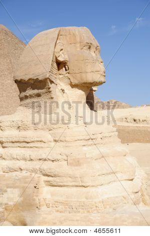 Büyük Sfenks Giza (Mısır)