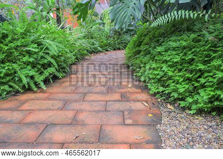 A Walkway In The Garden With Red Brick Floors. Along The Way Planted A Small Tree.