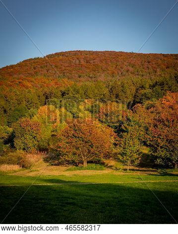 Autumnal Sunset Landscape With Sleza Mountain, Poland. Colorful Foliage On The Trees.