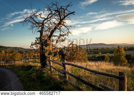 Autumnal Sunset Landscape In Sleza Massif, Poland. Old Wooden Fence, Old Apple Tree And A Path In Th