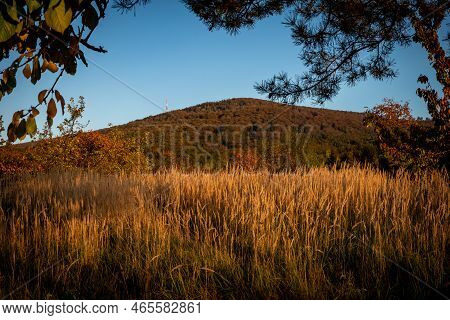Sunset In Sleza Massif, Poland. Autumnal Landscape With Golden Meadow Grass In Foreground.