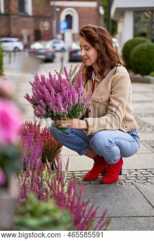 Young Beautiful Woman Holding A Pot With Blooming Violet Heather Plant In A Street Flower Shop.