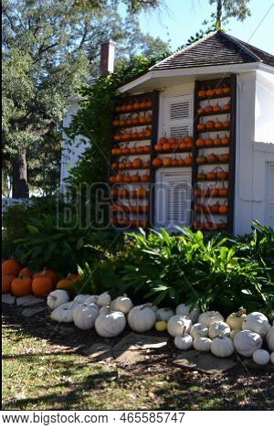 October Pumpkins Trinket On The Wall Of The Wooden Building