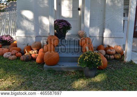 Lots Of Different Pumpkins Varieties For The Thanksgiving