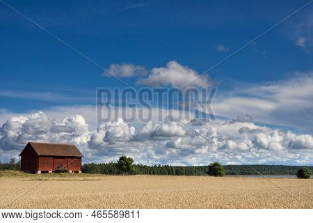 Wooden Barn On The Island Torso In Lake Vanern