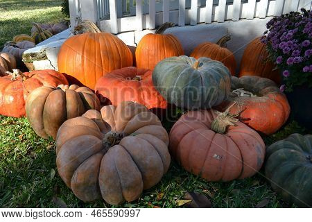 Big Pumpkins Decoration For Fall Season Occasion