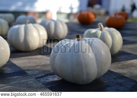 The White Pumpkin's Counters On The Chessboard With Glow Of The Sun