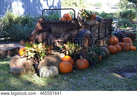 Archaic, Old Tractor And Pumpkins Decoration For The Haloween