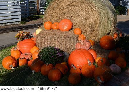 Beautiful Orange Pumpkins On The White Wooden House Background