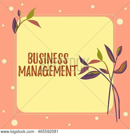 Writing Displaying Text Business Management. Business Idea Overseeing Supervising Coordinating Busin