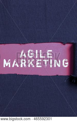 Text Caption Presenting Agile Marketing. Internet Concept Focusing Team Efforts That Deliver Value T