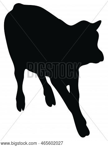 Hand Drawn Vector Silhouette Of Standing Calf Isolated On White Background. Black And White Stock Il