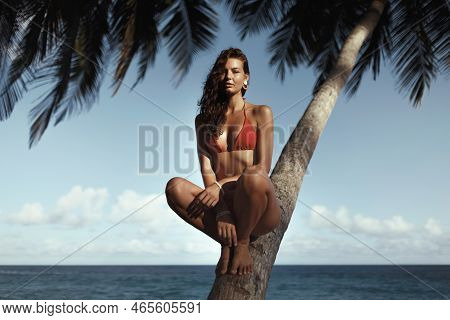 Summer Lifestyle Full Body Portrait Of Pretty Confident Young Bikini Girl With Tanned Sexy Body, Pos