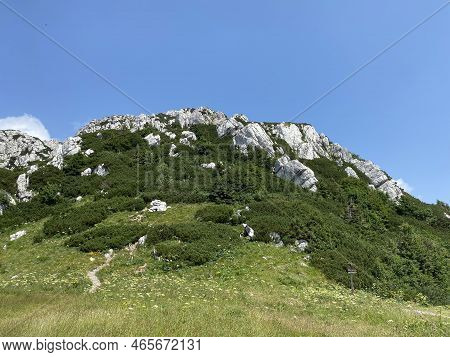 Peak Veliki Risnjak (1,528 M) In Risnjak National Park, Crni Lug - Croatia (vrh Veliki Risnjak (1.52