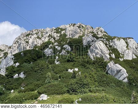 Peak Veliki Risnjak (1,528 M) In Risnjak National Park, Crni Lug - Croatia (vrh Veliki Risnjak (1.52