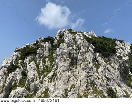 Peak Veliki Risnjak (1,528 M) In Risnjak National Park, Crni Lug - Croatia (vrh Veliki Risnjak (1.52