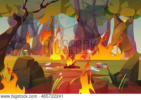 Fire In Forest, Polluted Wood With Raging Flames And Trash. Nature Pollution, Garbage Contamination,
