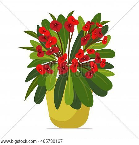 Houseplant In Flower Pot. Modern Elegant Home Decor. Vector Illustration Isolated On White Backgroun