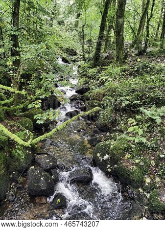 Kennall River In Kennall Vale Nature Reserve, Ponsanooth, Cornwall, United Kingdom
