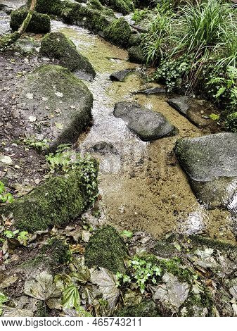 Kennall River In Kennall Vale Nature Reserve, Ponsanooth, Cornwall, United Kingdom
