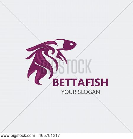 Betta Fish Modern Logo Style Design Vector Image Illustration