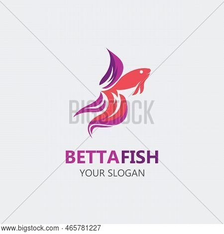 Betta Fish Modern Logo Style Design Vector Image Illustration