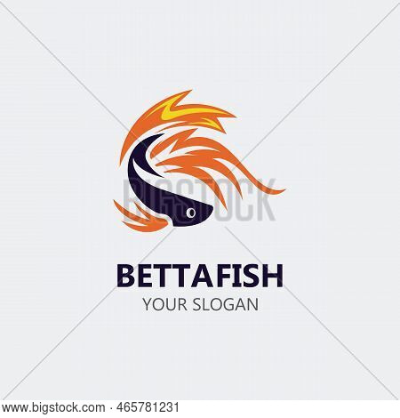 Betta Fish Modern Logo Style Design Vector Image Illustration
