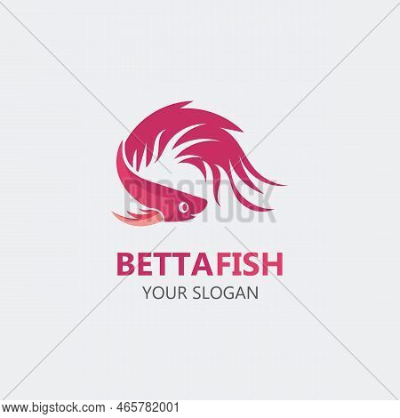 Betta Fish Modern Logo Style Design Vector Image Illustration