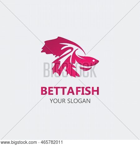 Betta Fish Modern Logo Style Design Vector Image Illustration