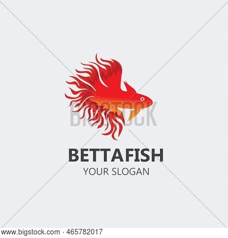 Betta Fish Modern Logo Style Design Vector Image Illustration