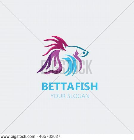 Betta Fish Modern Logo Style Design Vector Image Illustration