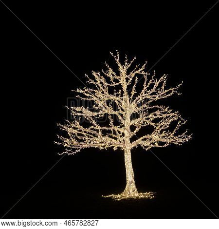 A Tree As An Illuminated Decoration Made Of Fairy Lights At The Light Installation Lumagica In The E