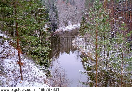 The River Salaca Is Meandered By High Sandstone Cliffs. Skanaiskalns Nature Park. November Is The Fi