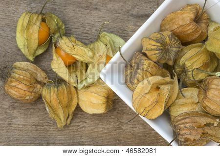 Makro kuva tuore Physallis marjoja