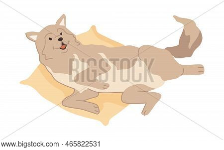 Husky Breed Of Canine Animal, Isolated Cute Doggo Laying On Bed Or Soft Pillow. Active Dog Personage